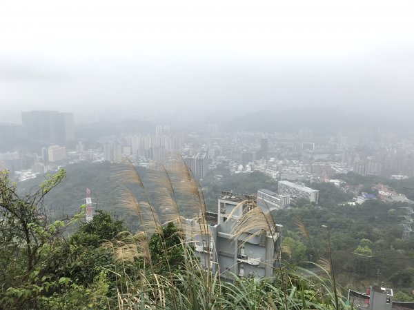 111.3.06 小百岳 汐止大尖山 賞花賞櫻趣1631844