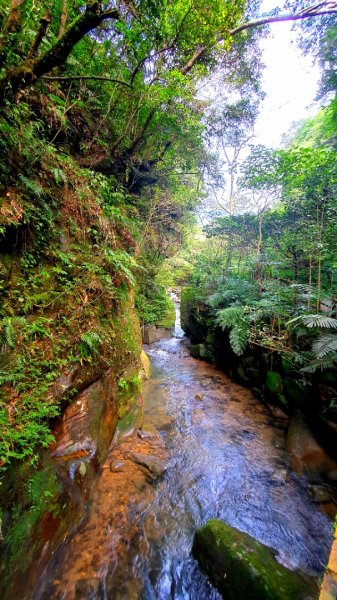 基隆暖東峽谷，金山獅頭山公園，燭臺雙嶼，金包里山，神秘海岸，巨岩海蝕洞（一線天）1729071