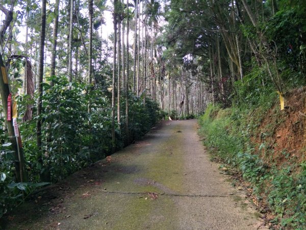 逐鹿古道&雨社山1465933