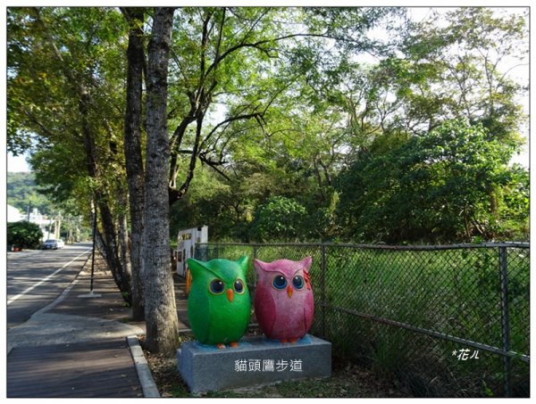 貓頭鷹步道(台中、太平)1585674