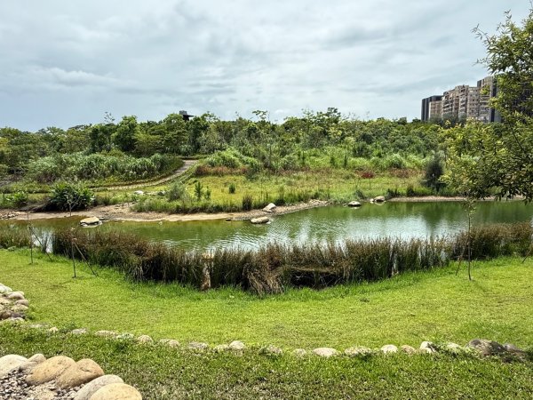 大湳森林公園2860327