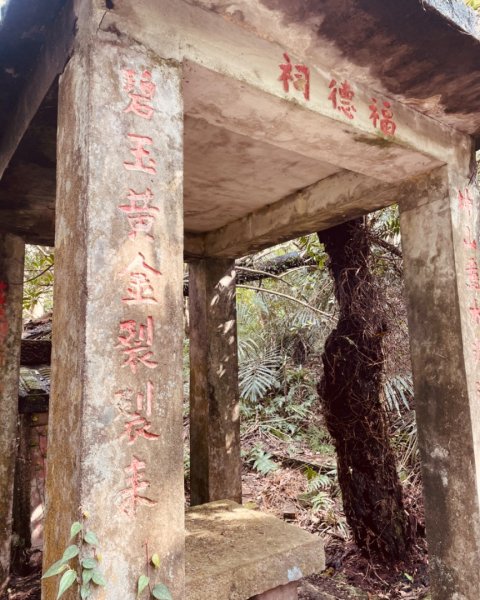 蛇來運轉-蛇子行古道-三爪坑山-蛇子崙山O2706698