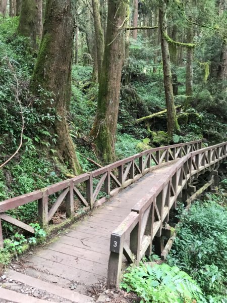 特富野古道903216