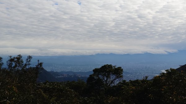 20260125 陽明山前後山健行(無極天元宮~山仔頂步道.向天池.向天山.面天山.二子坪)2998068