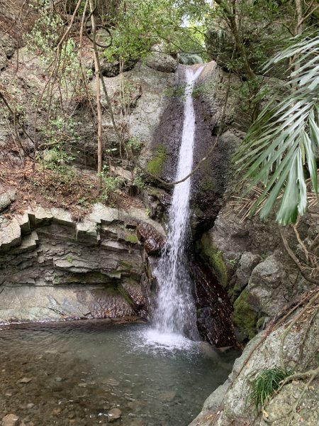20260124屏東老佛山-老佛山南峰2992226