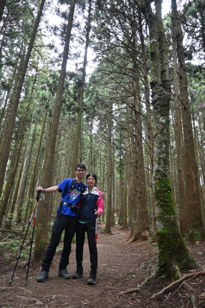 中級山-高島縱走2888394