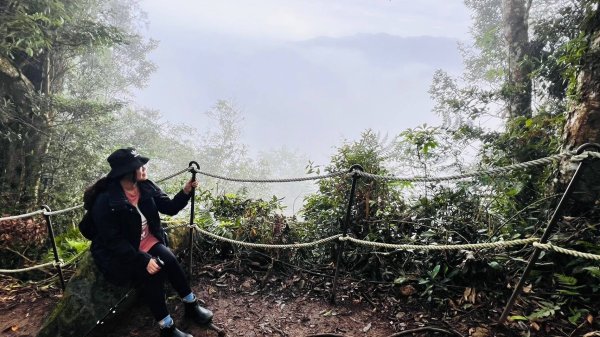 〽️12/25（三）聖誕節~楓紅了🍁~馬拉邦(小百岳)賞楓眺望聖稜線2676370