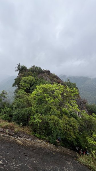 迎新（2026元旦2975607