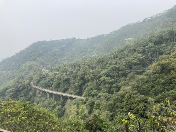 2024-3-9 樟腦寮車站上獨立山-大籠頂-下太平-走太紅公路-阿拔泉回2449889