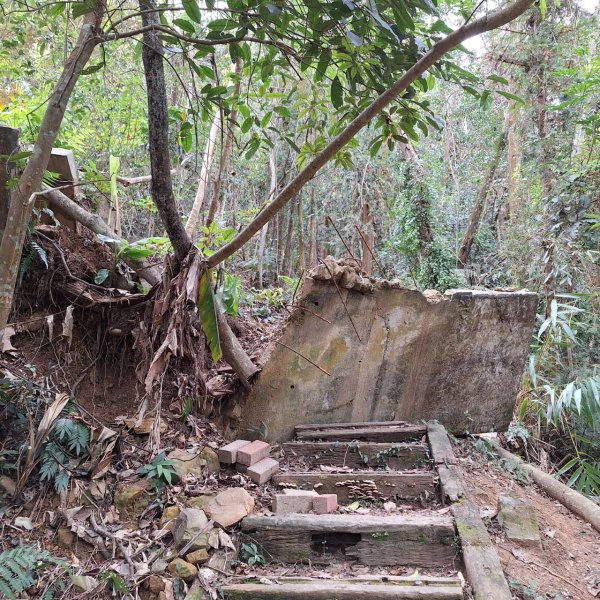 【小百岳52】後尖山完成!2705855