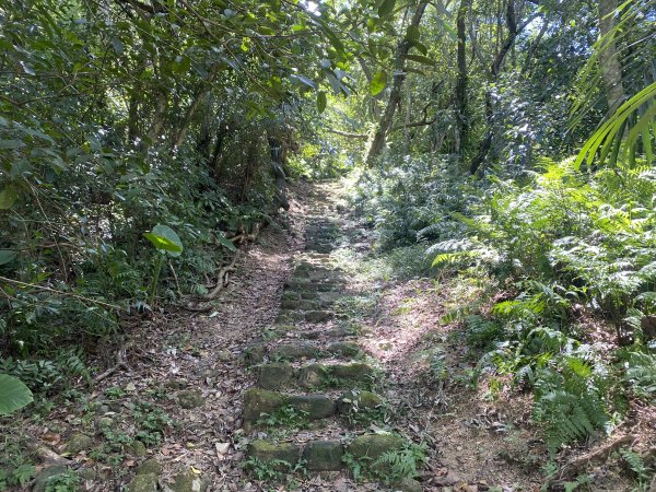 深坑 O 型環走｜大崎嶺步道・林家草厝・茶山古道・炮子崙瀑布（含冷門山徑）2895110
