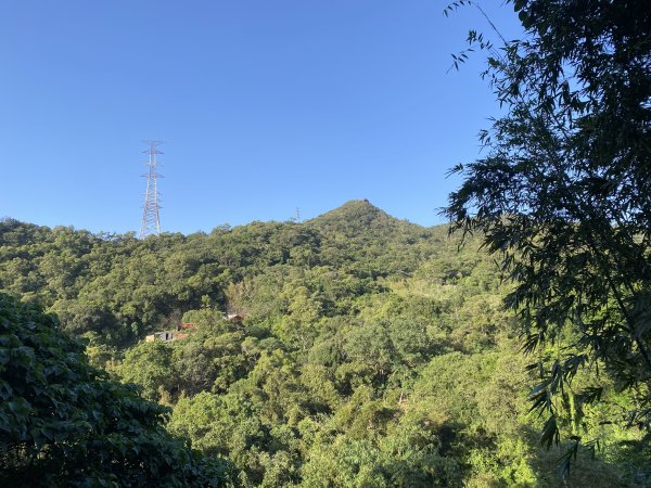 《金瑞治水園區開跑｜重訪金龍產道與碧山營地的暖陽晨跑》2951604