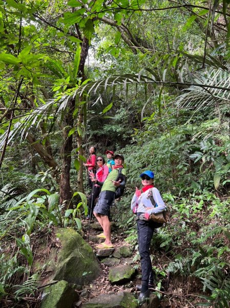 東勢大崙、東勢坑山、觀音湖山O走2986346