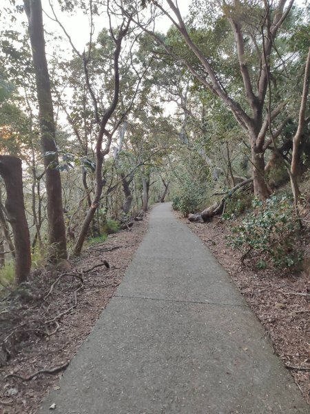 橫山步道-十八彎古道-中央嶺步道2718102