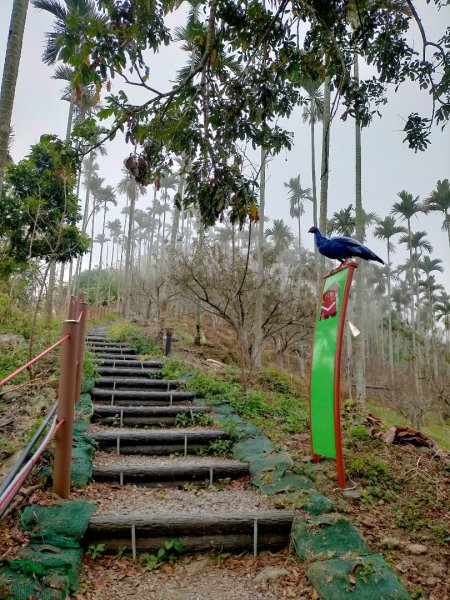 阿拔泉山/觀音石山/紅楠坑山/獨立山 環狀2963275