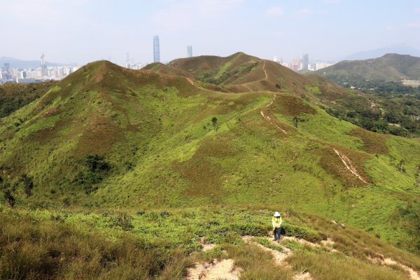 HK - 鐵坑，蛇嶺1268079