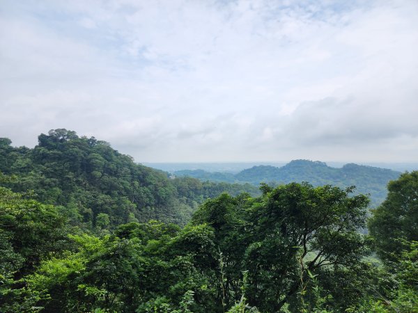 小百岳No.29⛰獅頭山2404575