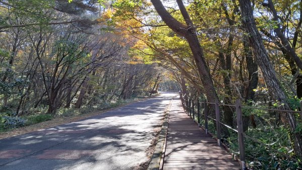 濟州島漢拏山-靈室路線上2942620
