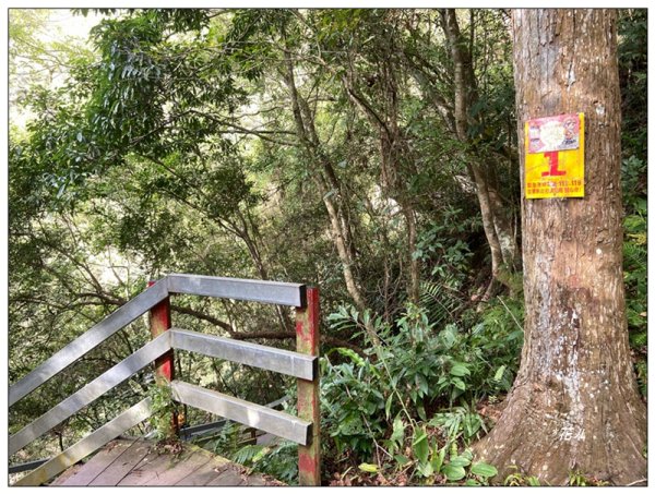 虎山、水雲三星之首 ( 苗栗、泰安 )2977379