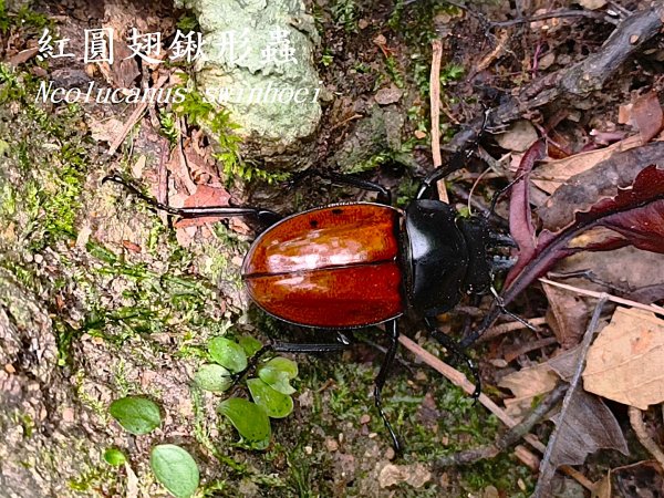 2025_0920 東滿步道2892691