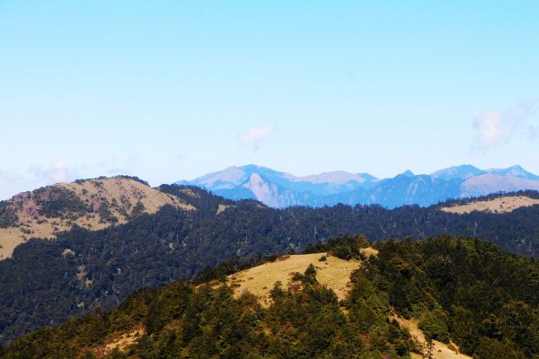 閂山、鈴鳴山 ~ 山巔雲端 , 與美麗山林307222