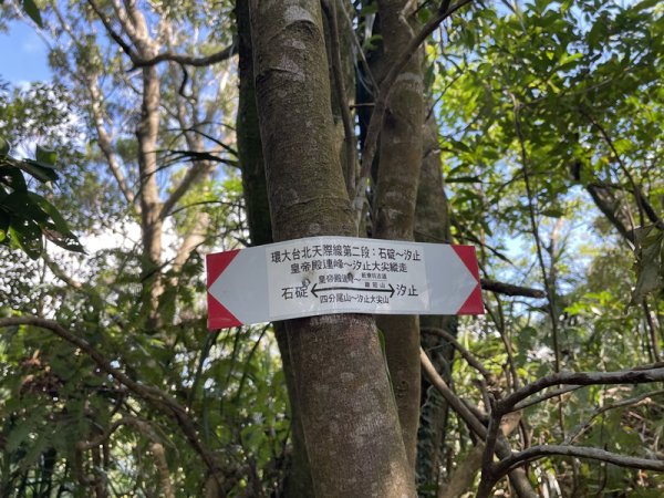 【二格山系】皇帝殿稜線2914126