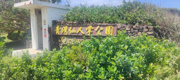 青灣仙人掌公園2872101