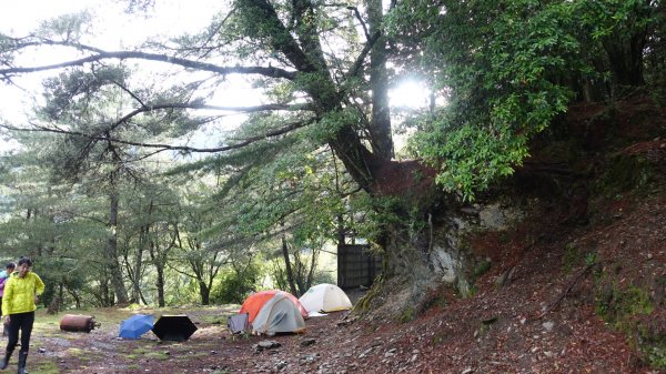 雙龍林道上巒安堂西巒大山1778756