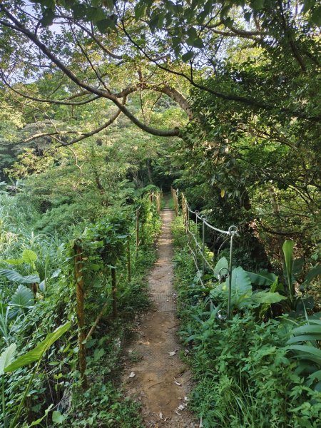 林口頂福巖森林步道2838123