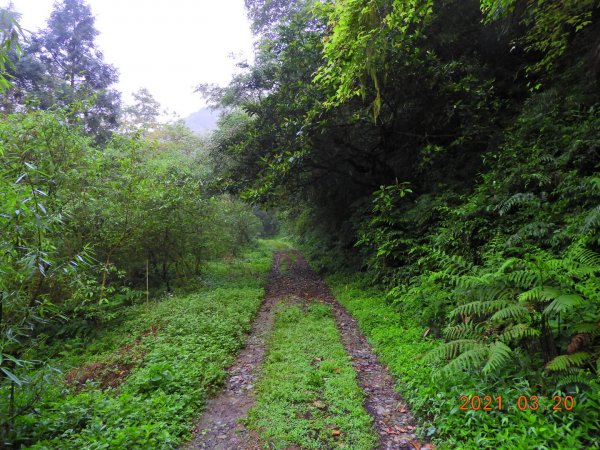 宜蘭 員山 阿玉山1313872