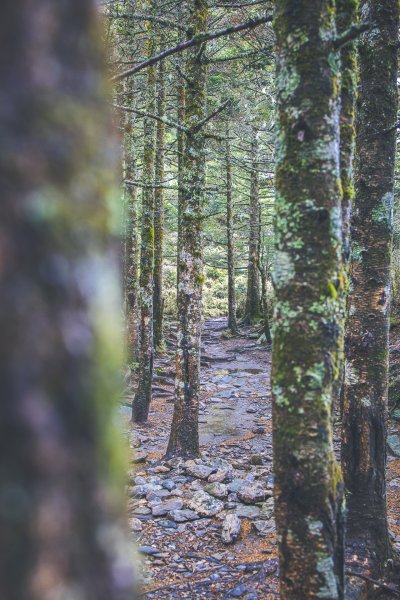 20201224~26-終於看到嘉明湖本人了!1581996