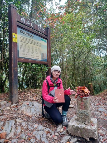 【台中和平】巧遇藍腹鷴帝雉。 稍來山步道2749897