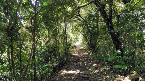 拳山古道,土地公嶺古道,中埔山古道,文山森林公園2578162