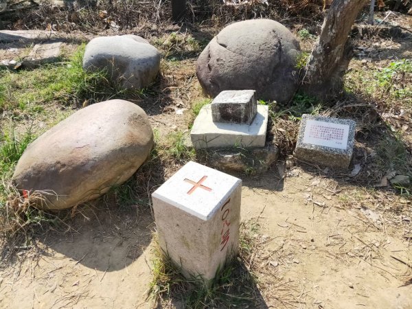 小百岳(43)-三汀山-20200123~【2020全家總動員~28分之03】1716070