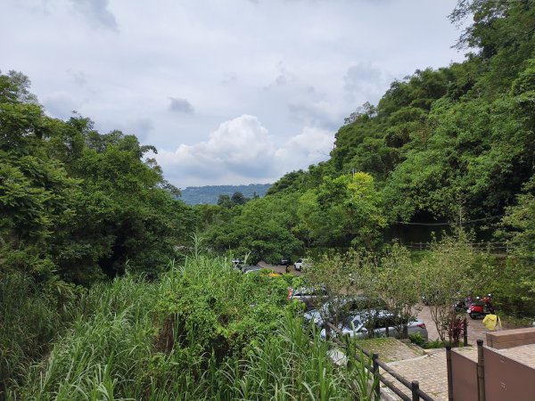 [百山百鳥尋旅-08/15] 2025_0831 大坑1號步道2876174