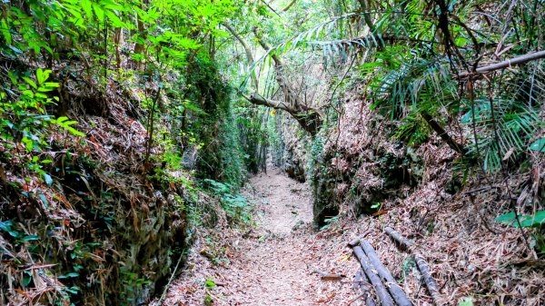 大崗山,盤龍峽谷2954519