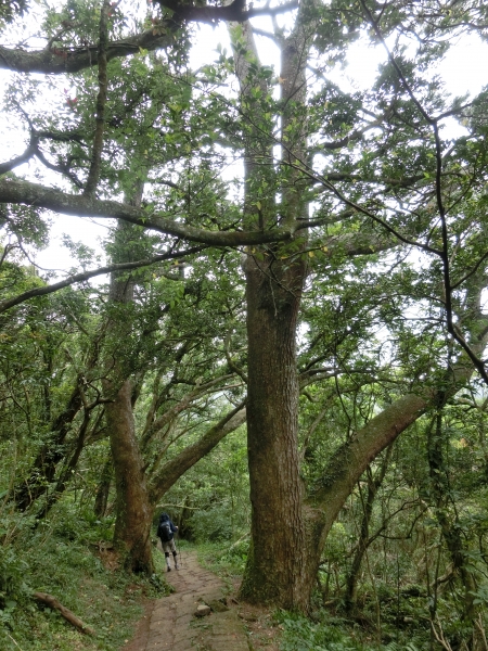 面天山．向天山．向天池94283