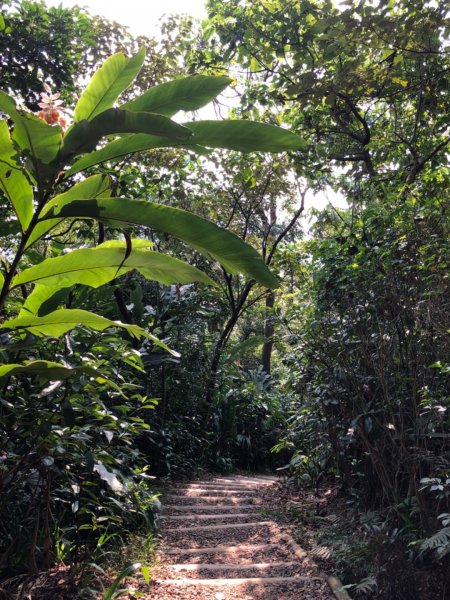 福州公園步道890914