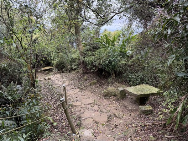 [微笑山線_第四段] 2026_0321 天上山系_三粒半3021066