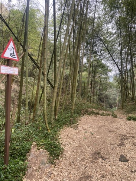 奮瑞瑞太古道3060178