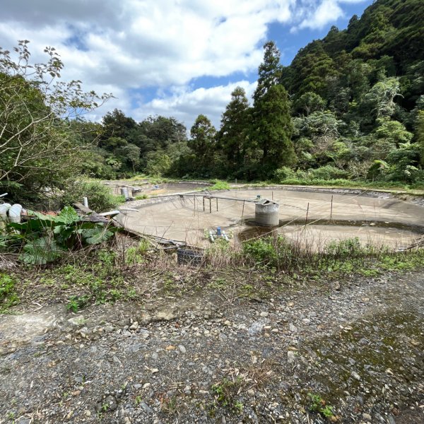 20231118_鵲子山步道（宜蘭小百岳）2762992