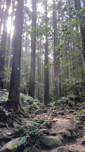 探加里山路徑2054195