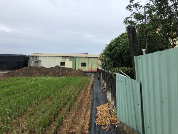 台南市六甲、官田、麻豆、將軍土地調查局圖根點。六甲、番子田、寮子廓、新豹尾（末尋得）、過港子1634791