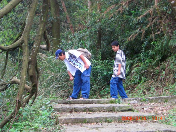 橫山_山背山騎龍古道200802281961358