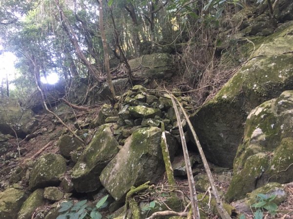 加里山前山、鐵道遺跡、索道、香菇寮2052744