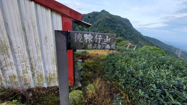 雲嘉九連峰1438906