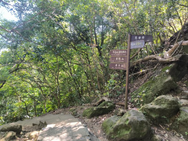 20251010微笑山線：【五分山系】平溪小黃山段 - 健行筆記2910171