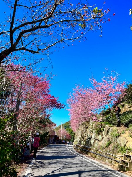 石壁木馬古道1623543