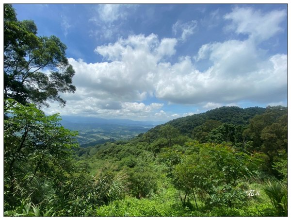 關刀山 小百岳 (薑麻園北入口)3084621