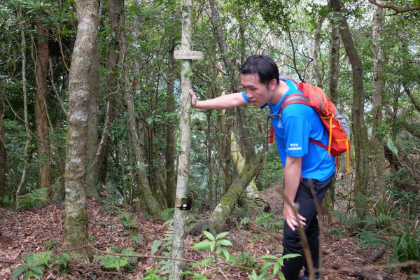 桃園復興區  東卡O縱2823839